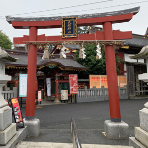 大杉１